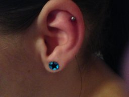 lobe  helix piercing nach dem stechen